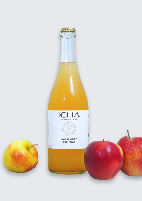 Kombucha Ingrid marie rubinola 75cl EKO